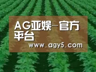 种植基地六