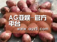 产品展示标题5