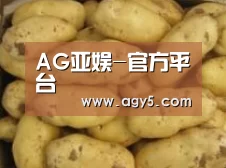 产品展示标题6