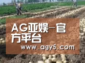 种植基地八