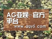 种植基地八(图1)