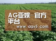 种植基地五(图1)